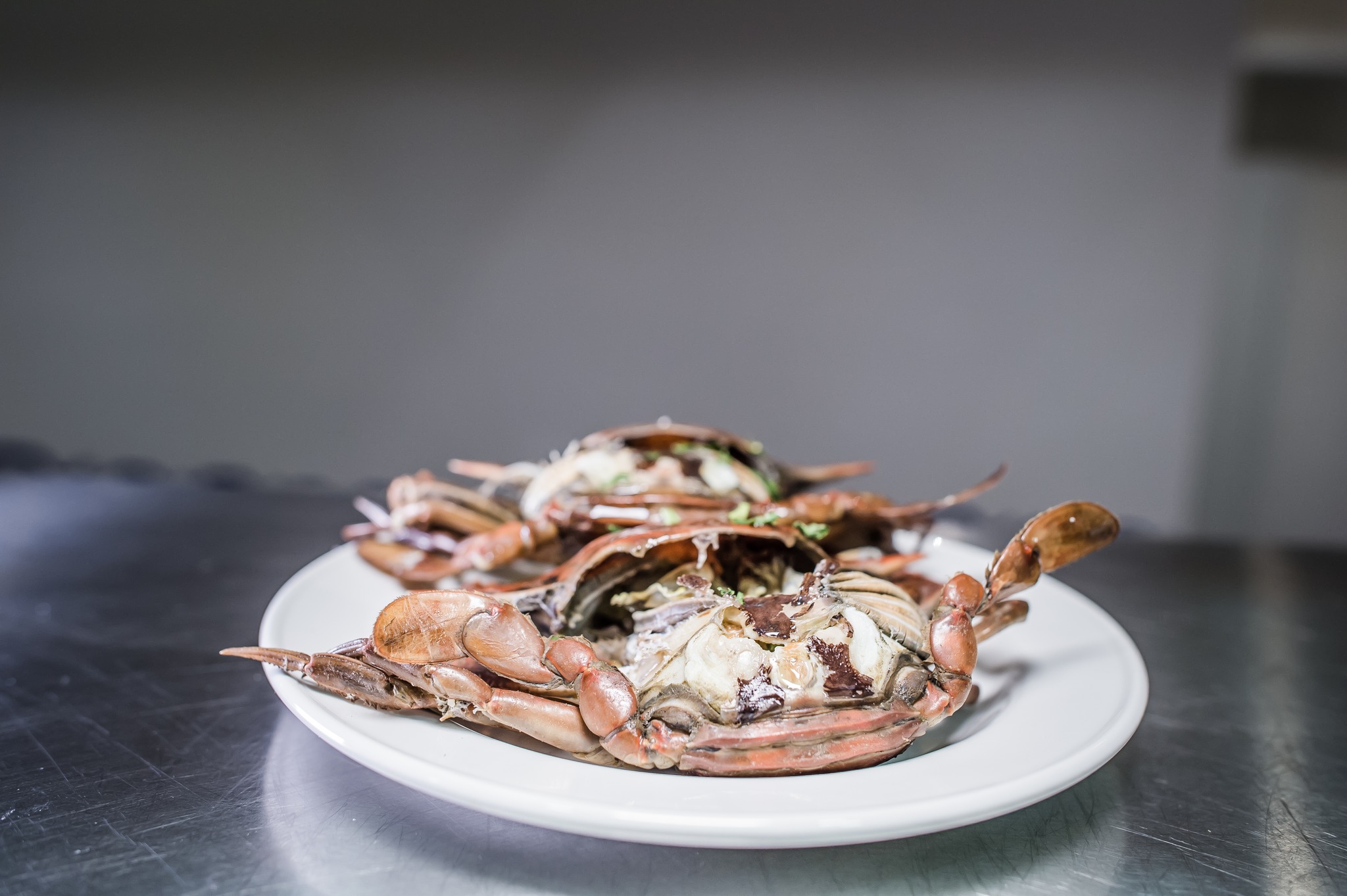 fish dish  - lepi ouzeri volos