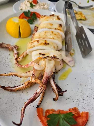 calamari  - kymatoligi