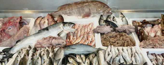 fresh fish - merxas