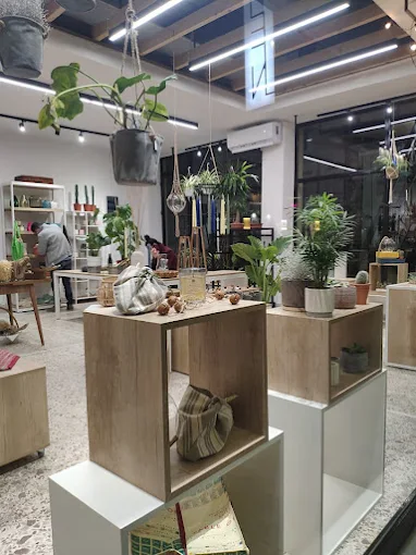 indoor plants - home concept store 