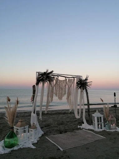 decor - home concept store 