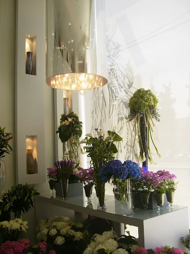 indoor plants - dio flower shop