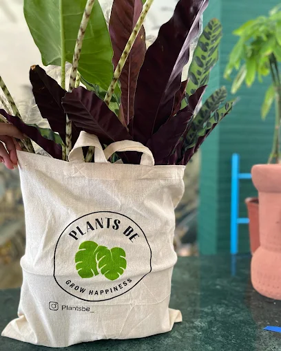 plants and merch  - plant be flower shop