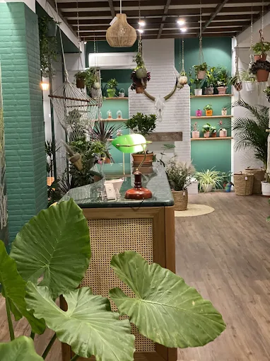 indoors  - plant be flower shop