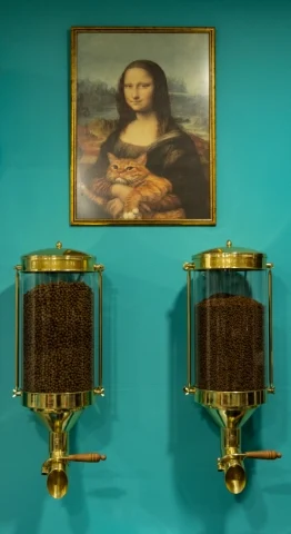 pet food  - vet supplies pet shop trikala