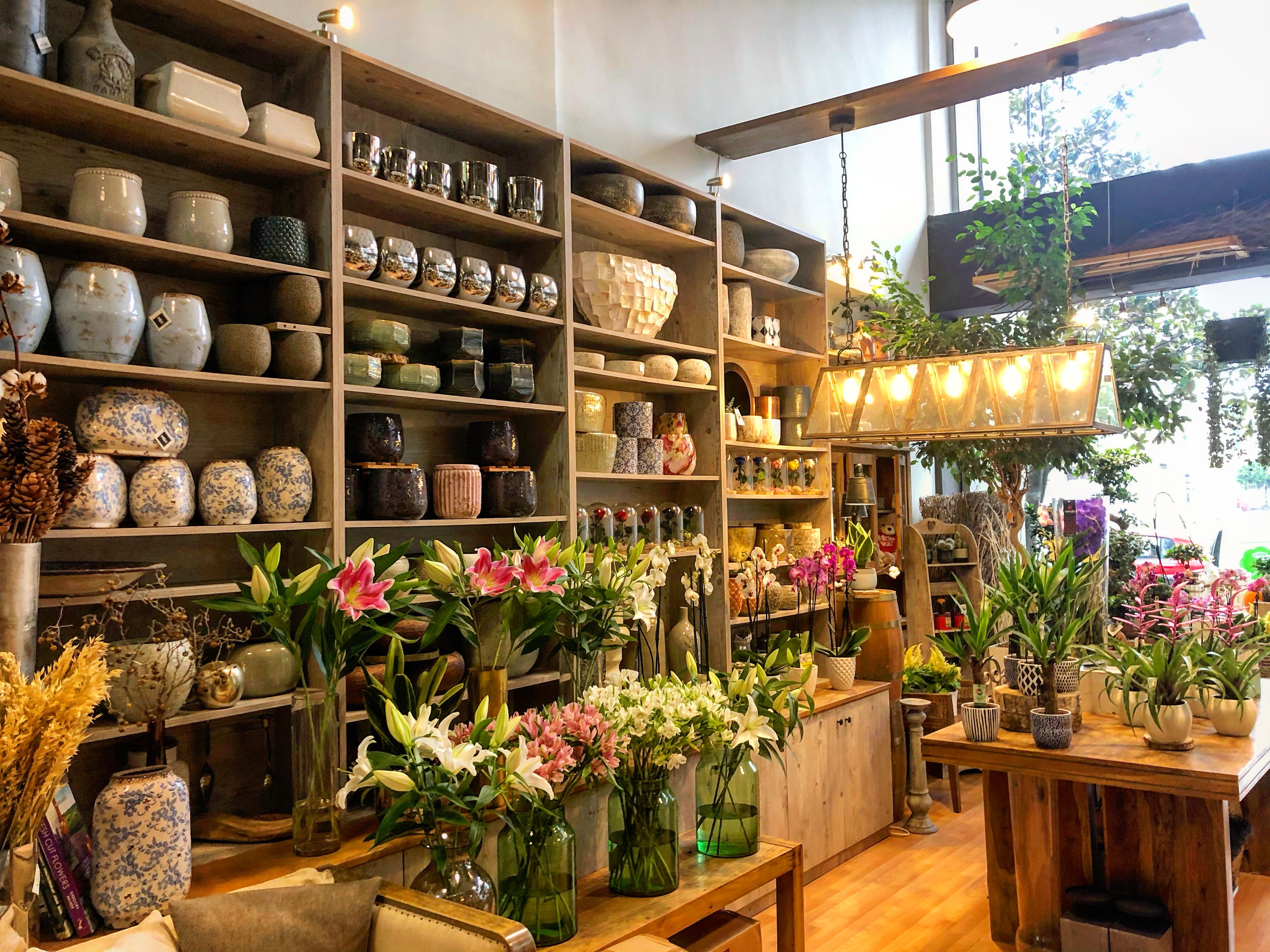 indoor flowers and plants - Fleurs flowershop trikala