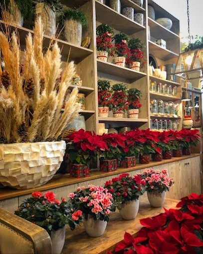 christmas flowers and plants - Fleurs flowershop trikala