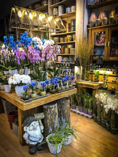 colourful flowers - Fleurs flowershop trikala