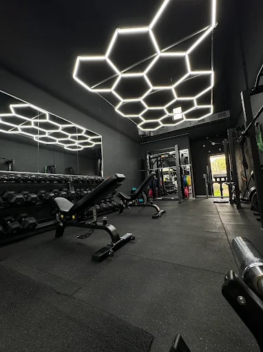 weights area - alphazone the gym trikala