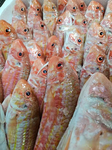 red fish - fish market ixthioskala karditsa 