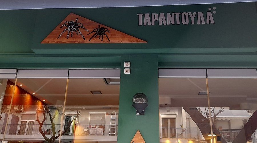 Ταραντούλα
