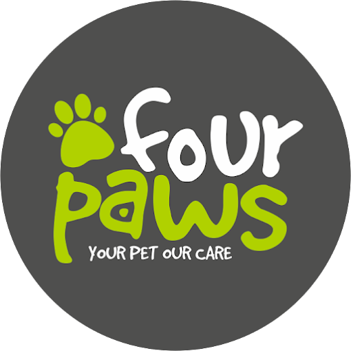  Four Paws 