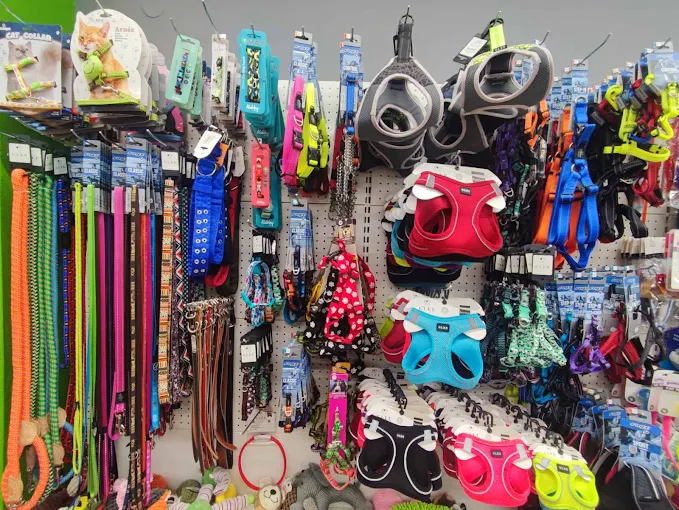 pet leashes Four Paws Petshop - Grooming salon