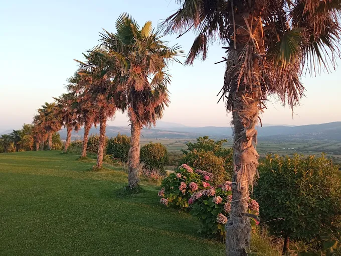 garden  - xitos luxury hall ioannina