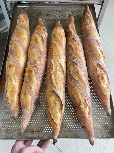 baguettes - mlrt Sourdough Microbakery