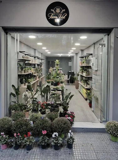 outdoors - terra veil flower shop serres 