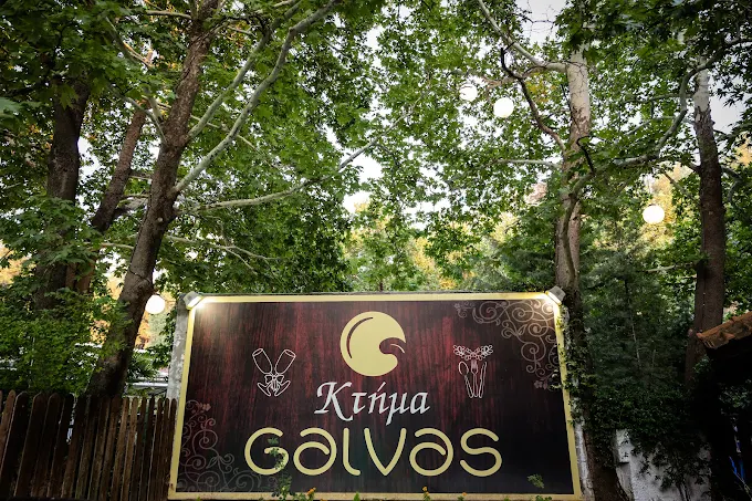 ktima galvas serres