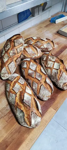 breads  - papoulias bakery serres