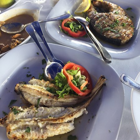 fish dish - gialos restaurant 