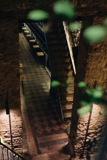 indoors - sofita bar patra