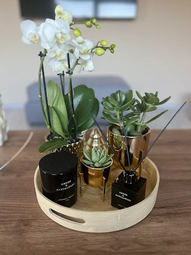 plant decor - flower corner baxevanidi kastoria