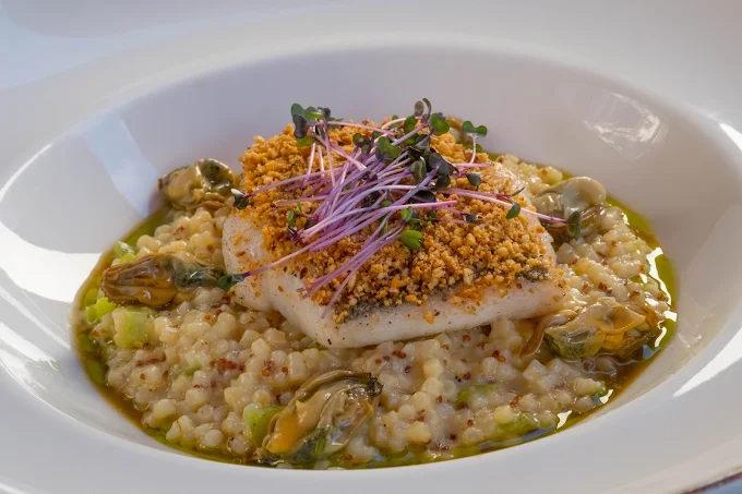 gourmet dish - fish - manitari