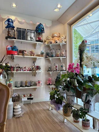 indoors  - miss flower flower store xanthi