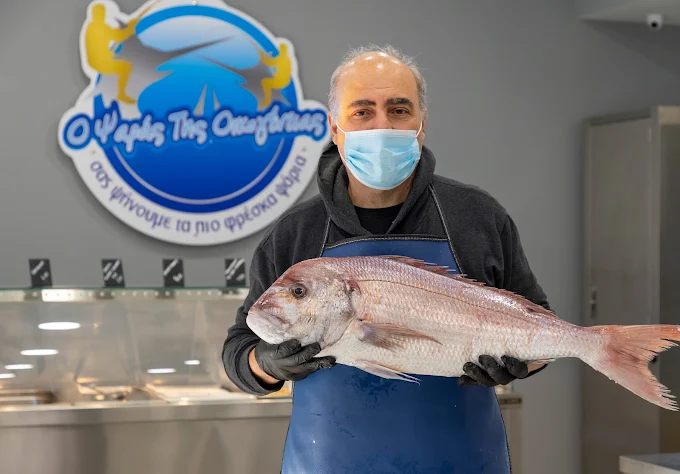 fresh fish  - o psaras tis oikogeneias