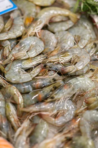 prawns  - o psaras tis oikogeneias