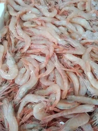 prawns - o tasos fseafood xanthi