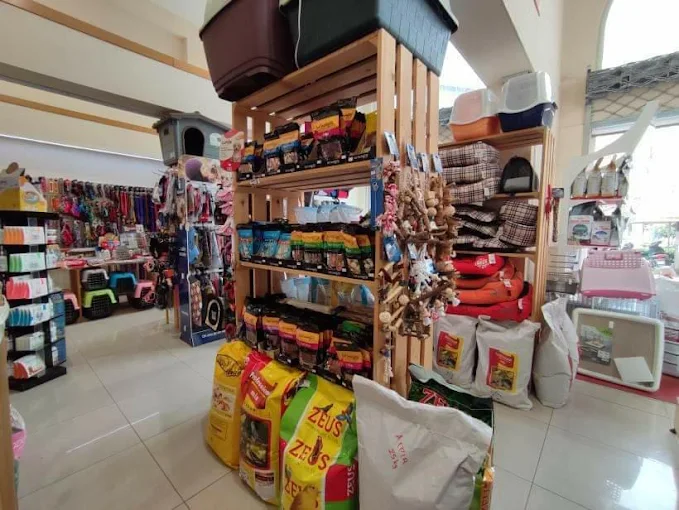 indoors - petnerd pet shop larisa