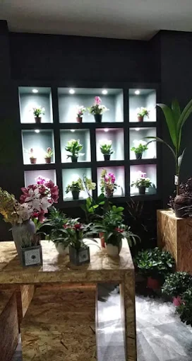 indoors - louloudia karaiskos larisa