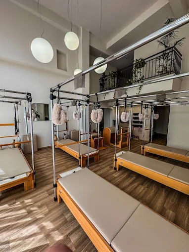 aerial pilates - mz fintess experience larisa