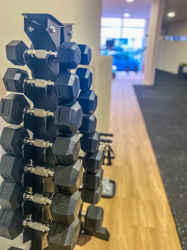 weights - mz fintess experience larisa