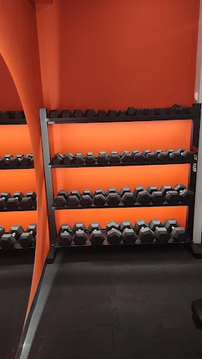 weights  - the fitness spot larisa