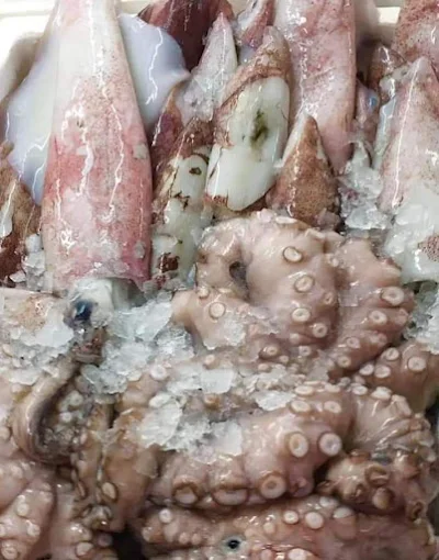 fresh fish - fish store andreas