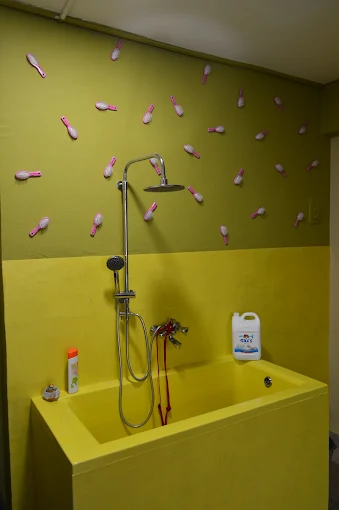 grooming - orthopetalies pet shop volos