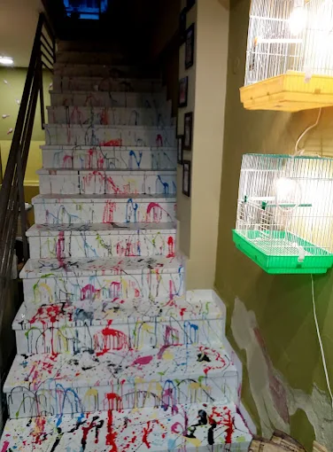 indoors - orthopetalies pet shop volos