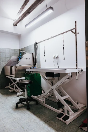 veterinary room - volos pet shop & grooming volos