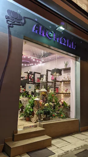 outdoors - anemoni flower shop volos 