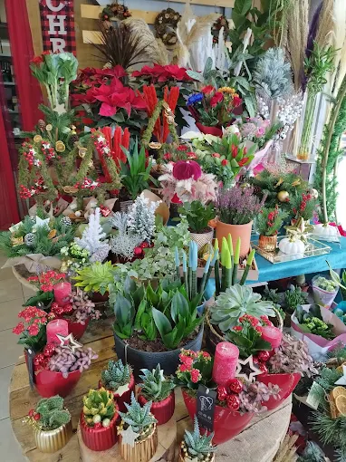 plants - anthokipos flower shop volos 