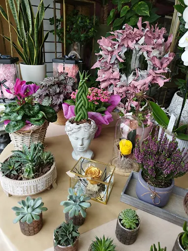 small plants - anthokipos flower shop volos 