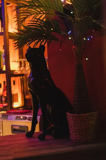 decor  - nelson bar volos 