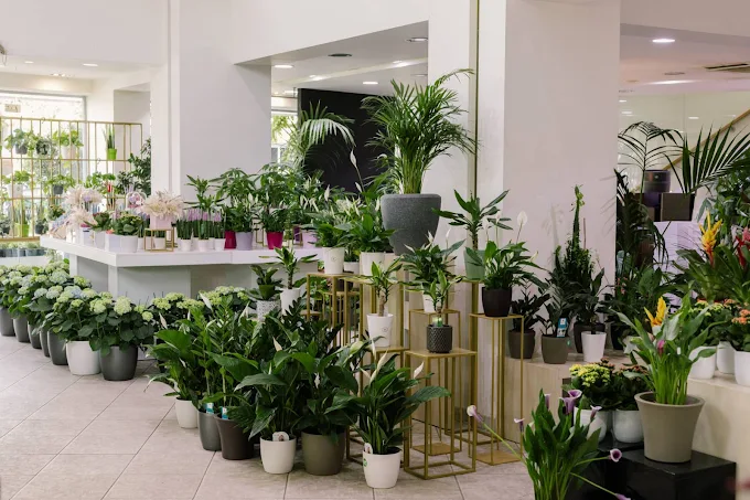 indoors store - kipos tou kalou