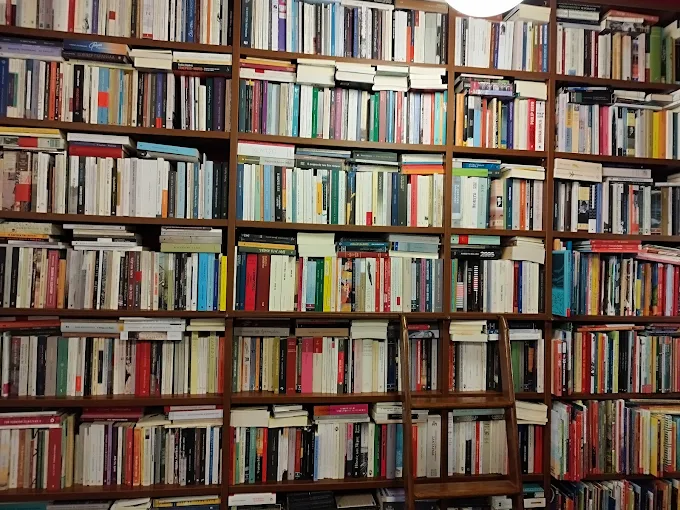 books -akivernites politeies