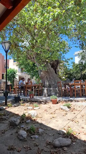 outdoors seating  - mpoumpoukos tsipouradiko volos 