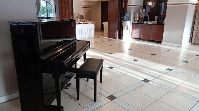 piano - aeton melathron hotel trikala