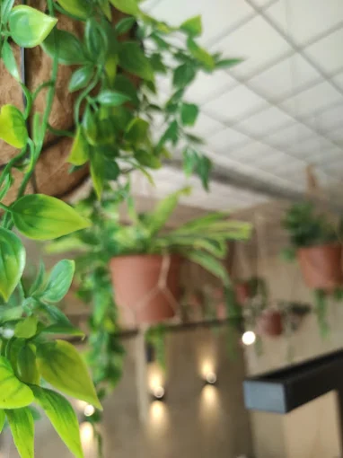 indoors - 6a i coffee house trikala 