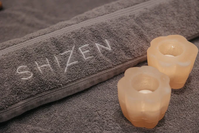 Shizen Wellness Hotel