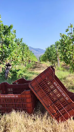 grape lands - nico lazaridi winery 